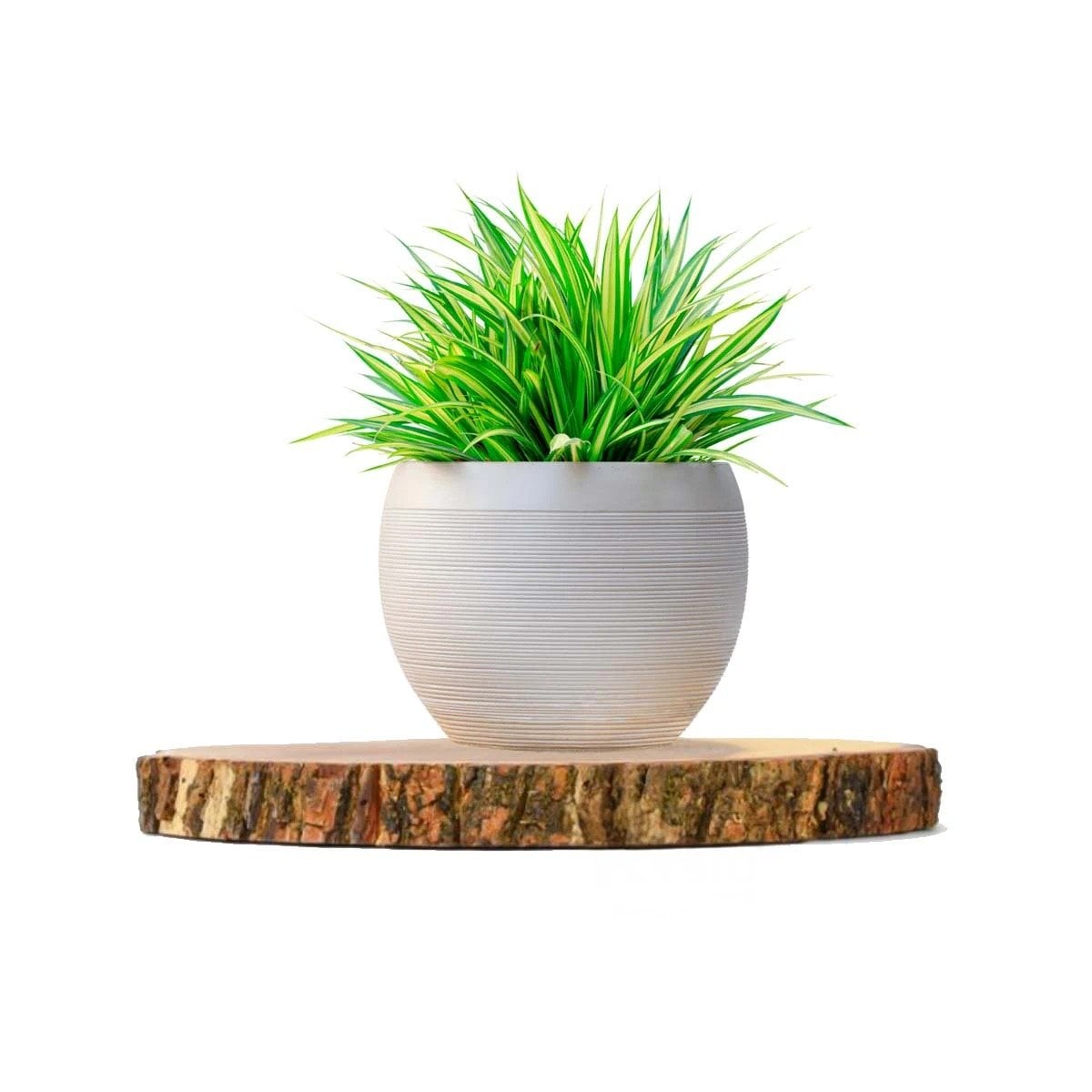 FUENTE CIRCULAR DE MADERA PARA DECORACION HOGAR EN CENTRO DE MESA Y+REGALO STICKER - 1