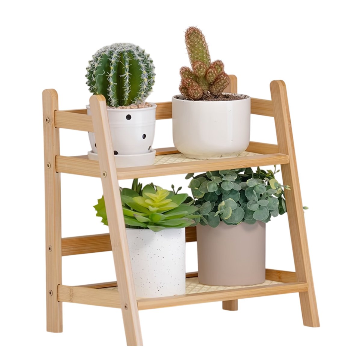 PACK4 SOPORTE BAMBU 2 NIVELES BEIGE REPISA PARA COCINA Y ALMACEN Y+PAPEL REGALO - 3