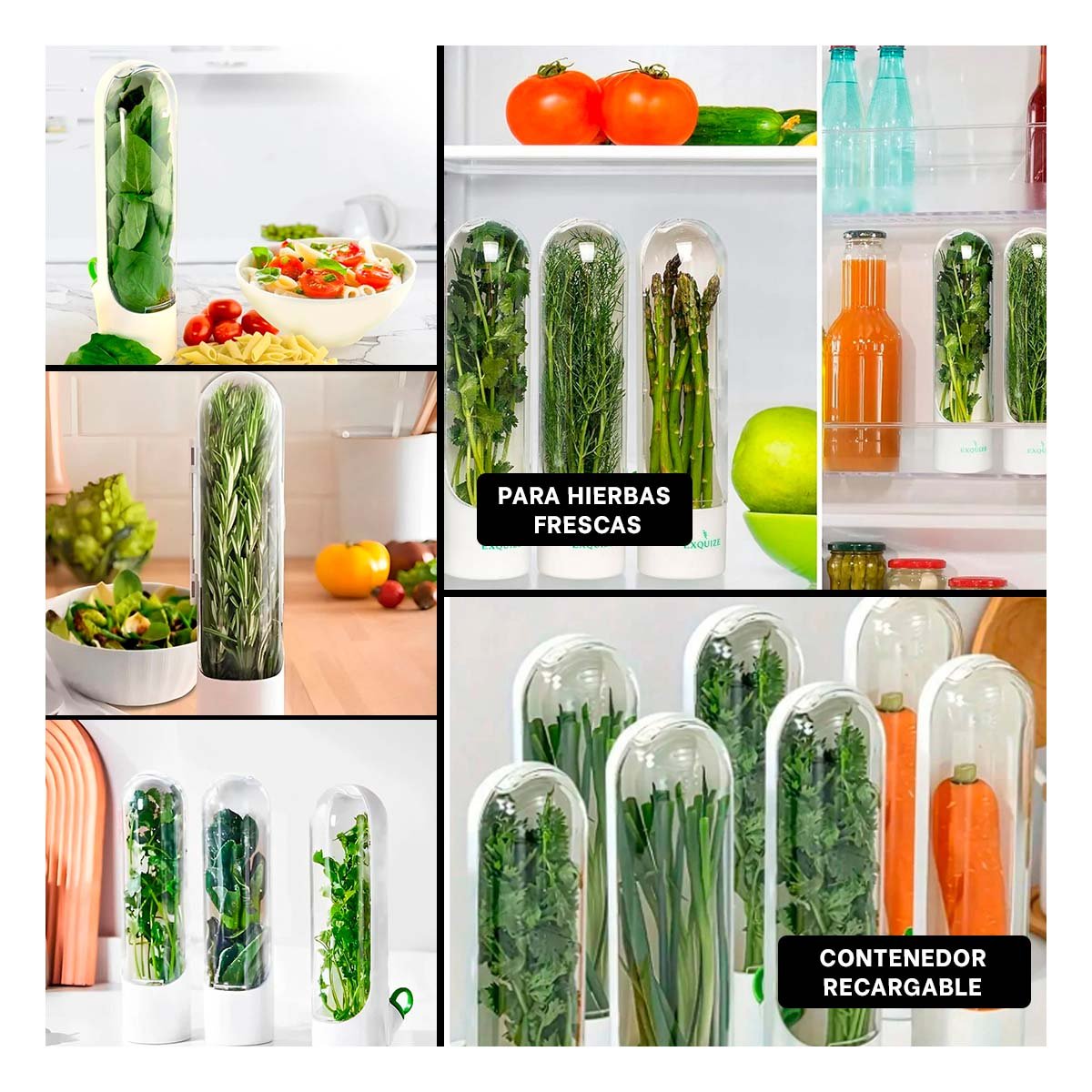 CONTENEDOR ELEGANTE PARA MANTENER HIERBAS FRESCAS Y AROMATICAS EN MOSTRADOR BLANCO Y+POST IT - 2