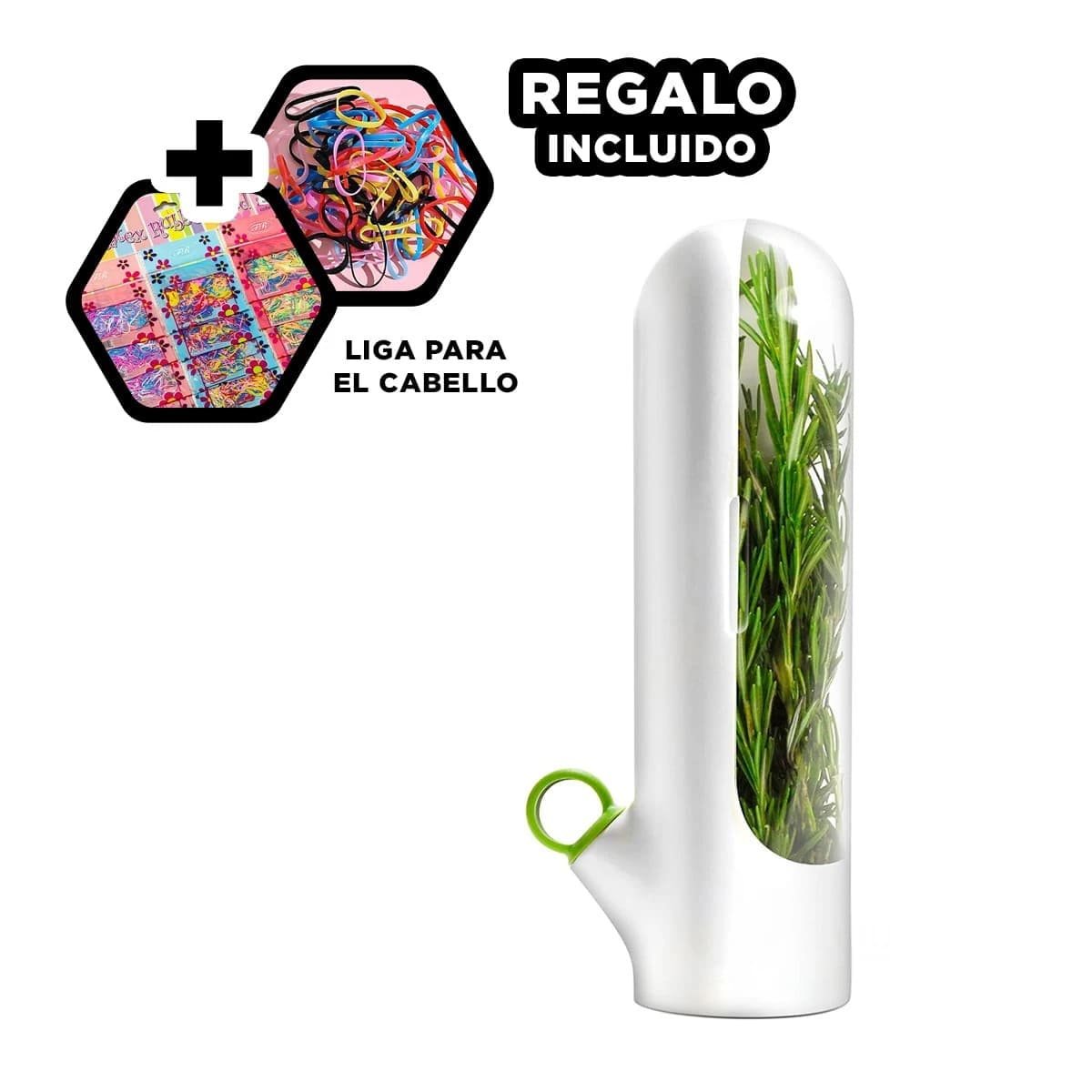 CONTENEDOR COMPACTO PARA GUARDAR HIERBAS AROMATICAS Y EVITAR OLORES BLANCO Y+LIGAS REGALO - 2