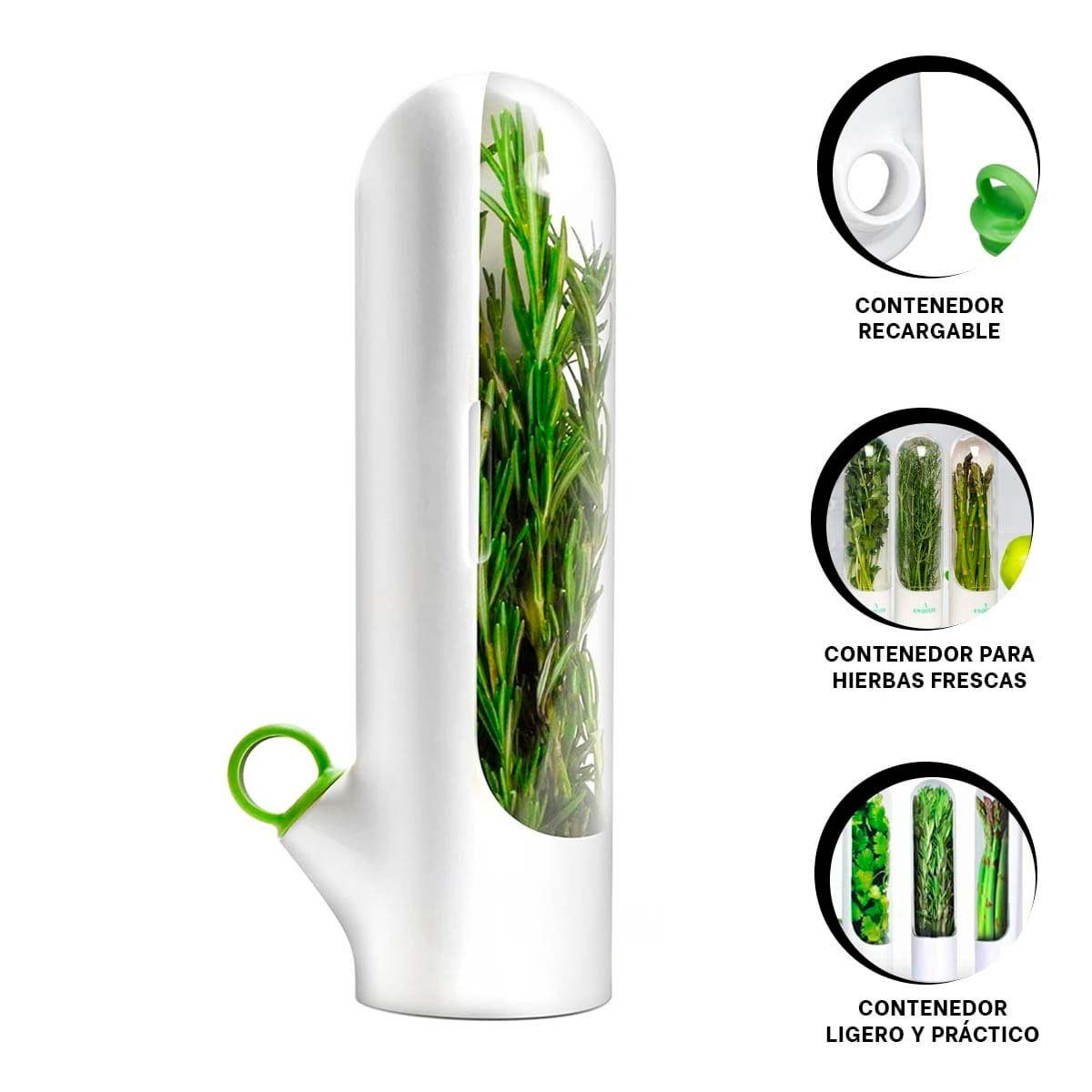 CONTENEDOR COMPACTO PARA GUARDAR HIERBAS AROMATICAS Y EVITAR OLORES BLANCO Y+LIGAS REGALO - 5
