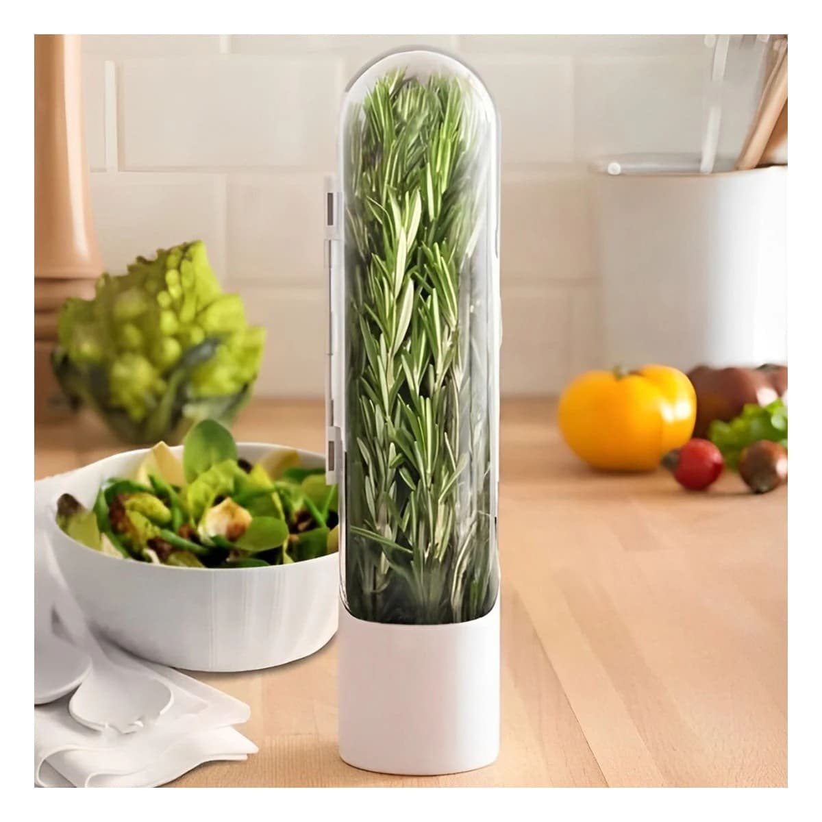 CONTENEDOR HERMETICO PARA MANTENER HIERBAS FRESCAS Y AROMATICAS EN COCINA BLANCO - 3