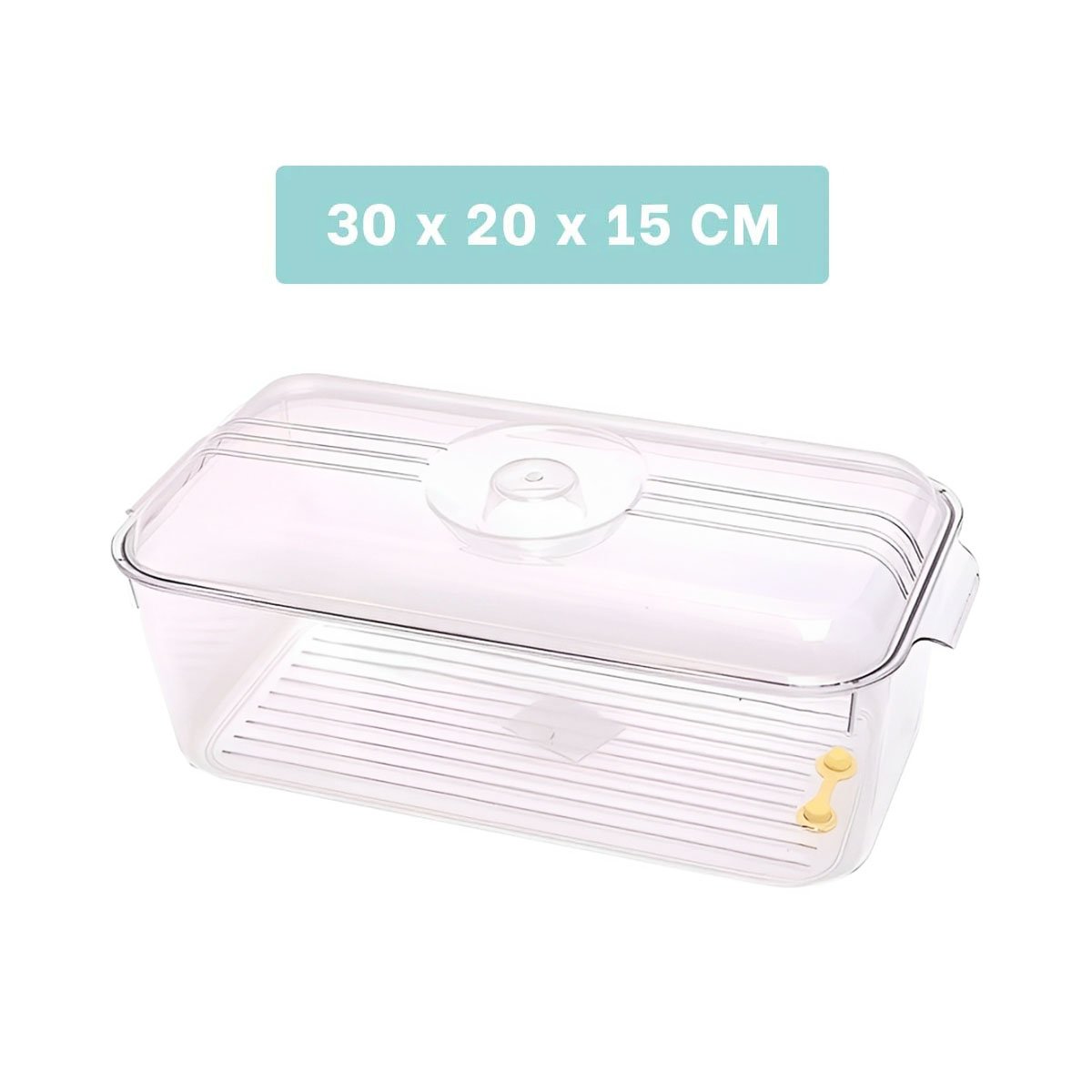 PACK6 PLATO ACRILICO CON TAPA QUE FACILITA GUARDAR Y SERVIR 30X20X15CM Y+REGALO STICKER - 4