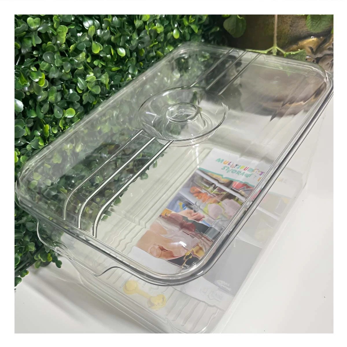 PACK6 BANDEJA PLASTICA 30X20X16CM TRANSPARENTE CON TAPA OVALADA PARA HOGAR Y+REGALO STICKER - 3