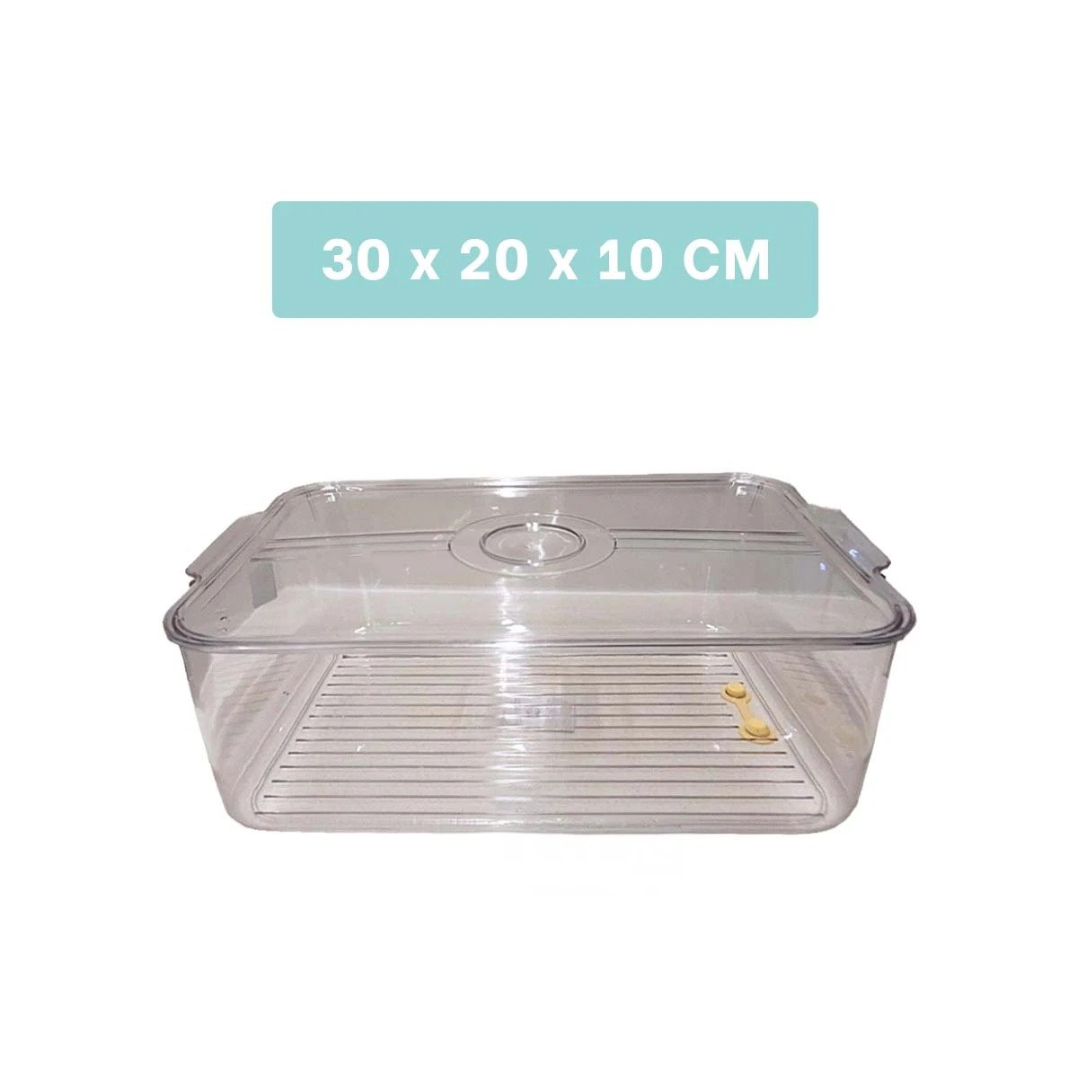 PACK2 ORGANIZADOR DE COCINA CON ASAS PEQUEÑAS 30X20X10CM TRANSPARENTE Y+REGALO STICKER - 4