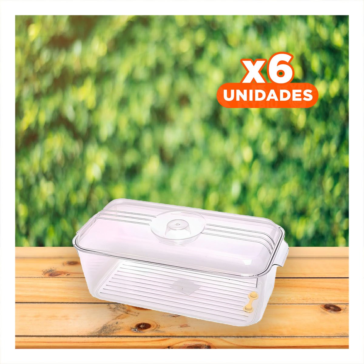 PACK6 BANDEJA PLASTICA 30X20X16CM TRANSPARENTE CON TAPA OVALADA PARA MESA Y+PAPEL REGALO - 1