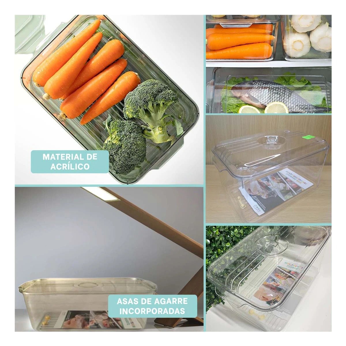 PACK6 BANDEJA PLASTICA 30X20X16CM TRANSPARENTE CON TAPA OVALADA PARA MESA Y+PAPEL REGALO - 3