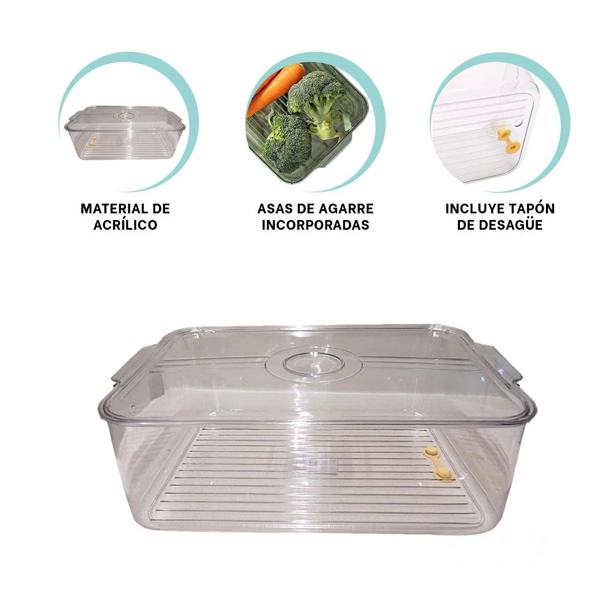 CHAROLA RECTANGULAR PARA REFRIGERADORA CON ASAS 30X20X10CM TRANSPARENTE Y+PAPEL REGALO - 5