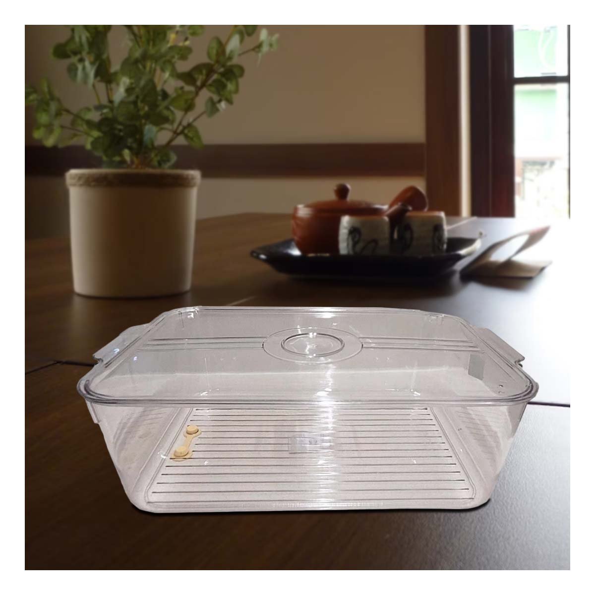 PACK6 ORGANIZADOR DE COCINA CON ASAS PEQUEÑAS 30X15X15CM TRANSPARENTE Y+PAPEL REGALO - 2