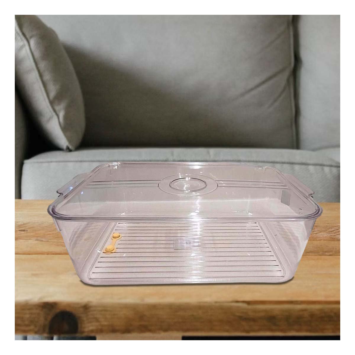 PACK6 ORGANIZADOR DE COCINA CON ASAS PEQUEÑAS 30X15X15CM TRANSPARENTE Y+PAPEL REGALO - 5