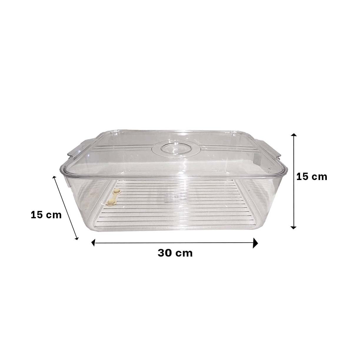 PACK12 BASE RECTANGULAR PARA MANTENER SECO 30X15X15CM TRANSPARENTE Y+REGALO STICKER - 4
