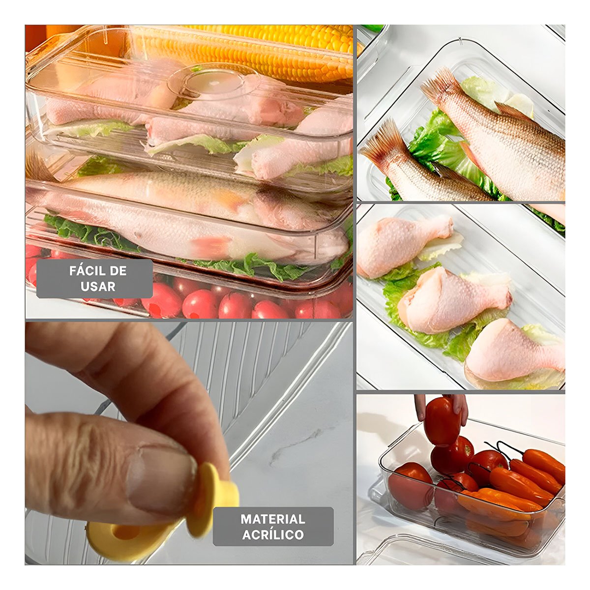 BANDEJA TRANSPARENTE PARA FRUTAS Y VERDURAS CON DRENAJE 30X16X7CM TRANSPARENTE Y+PAPEL REGALO - 3