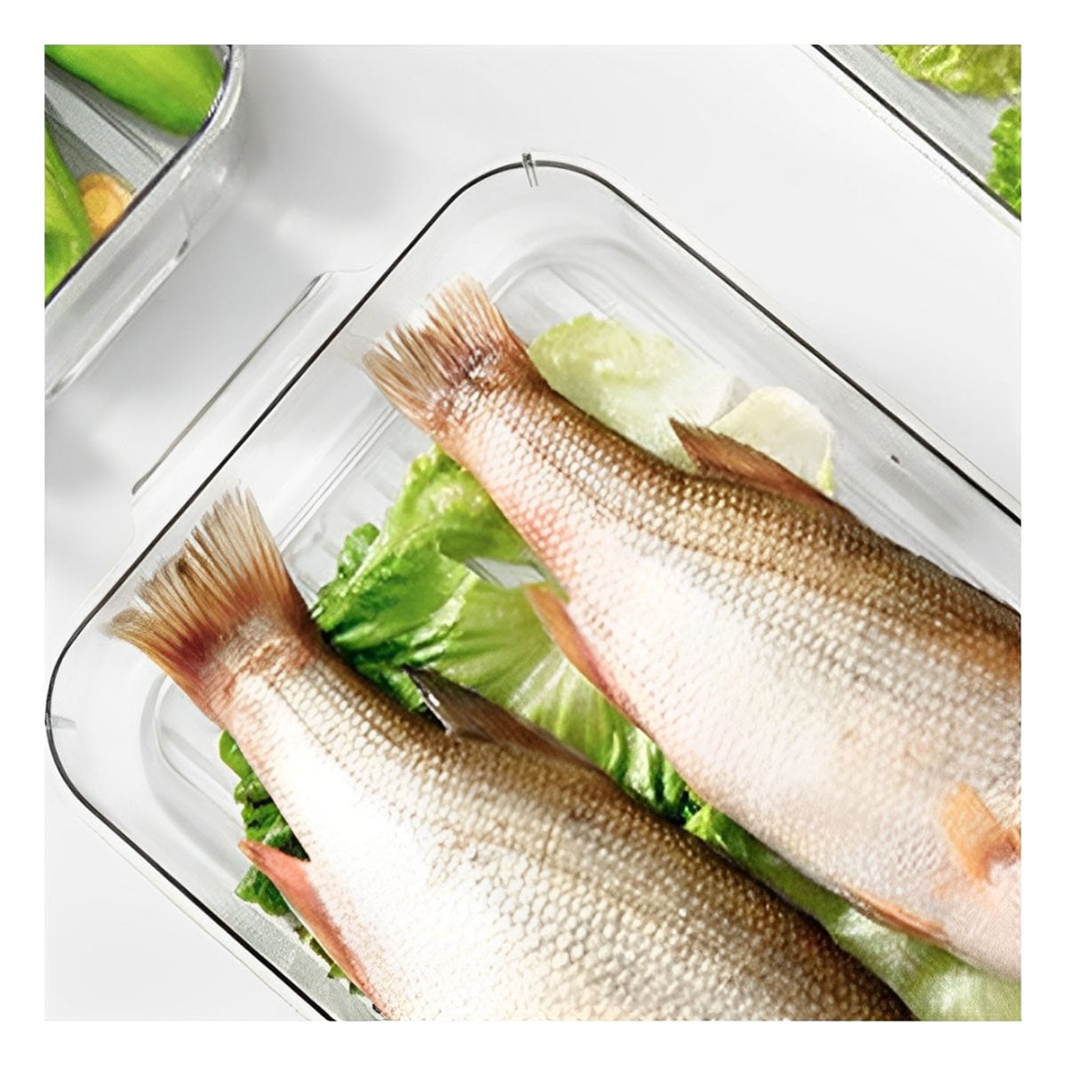 BANDEJA MULTIUSO DE REFRIGERADOR CON ASAS PEQUEÑAS 30X16X7CM TRANSPARENTE Y+REGALO STICKER - 3