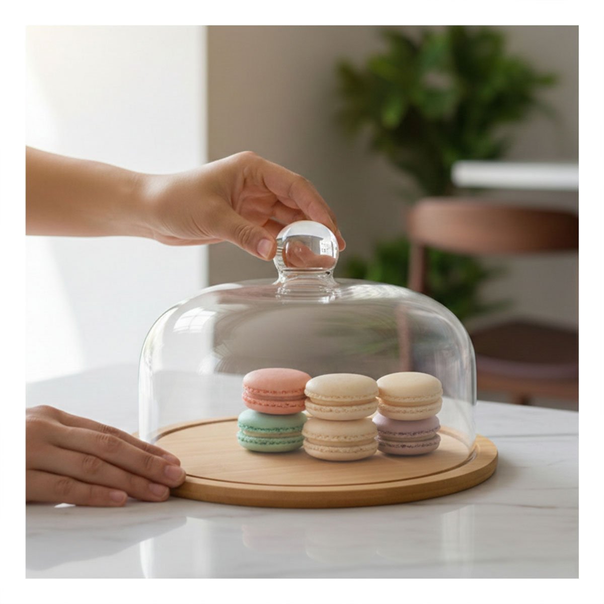 PACK2 EQUIPO DE BASE MADERA CON CUPULA DE VIDRIO TRANSPARENTE BAMBU 32X24CM COCINA HOGAR - 5