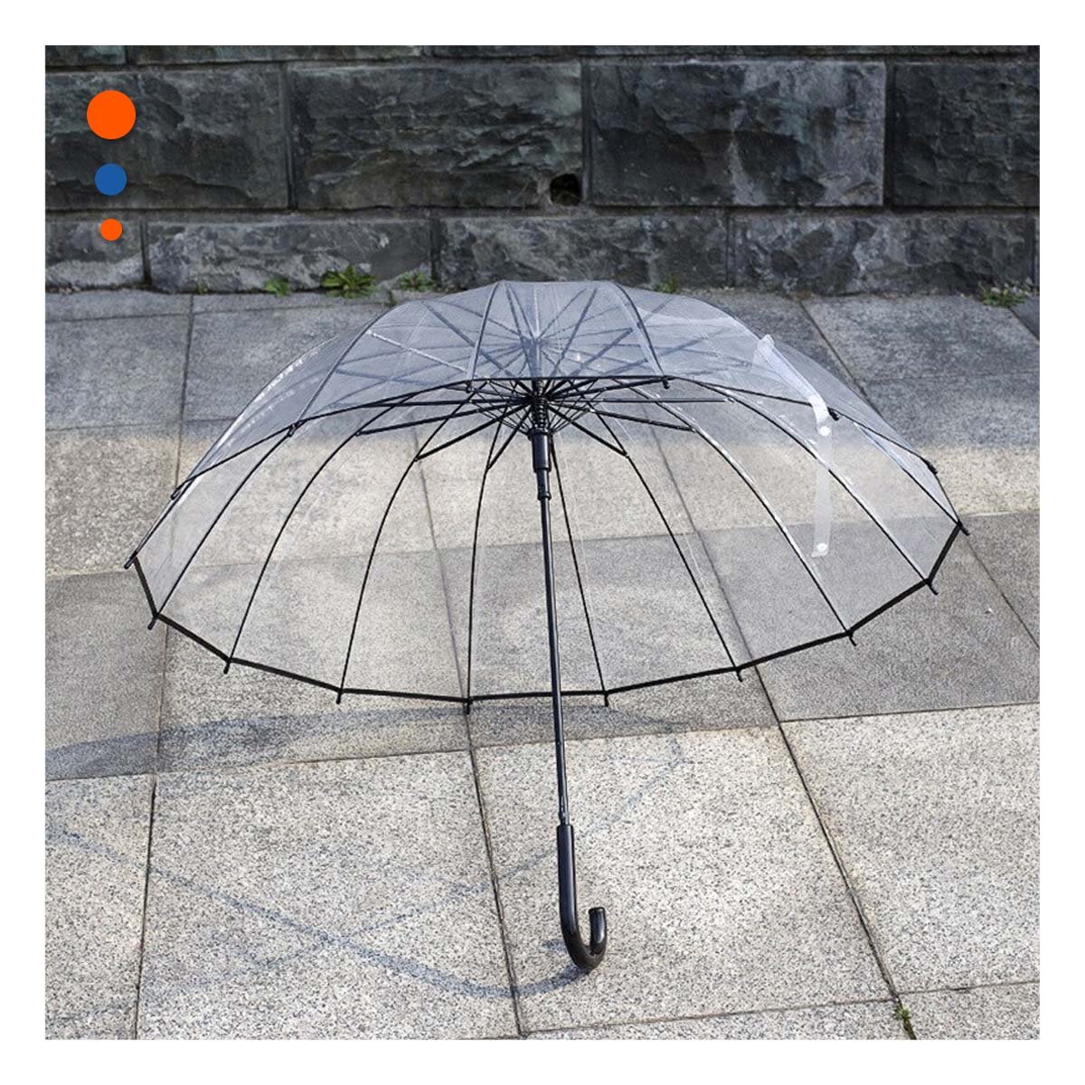 PACK12 PROTECTOR RESISTENTE CON MANGO LARGO TRANSPARENTE CON BORDE NEGRO DIARIO - 3