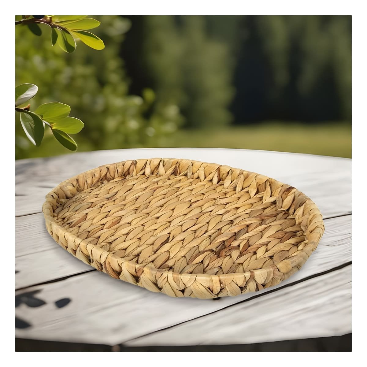 PACK6 CANASTA TEJIDA OVALADA GRASS 29X20X4.5CM MOSTAZA PARA ORGANIZAR PRODUCTOS Y HOGAR - 2