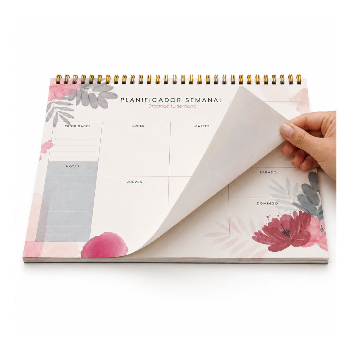 PACK6 DIARIO ORGANIZADOR BEIGE CON SECCIONES SEMANALES PARA PLANIFICACION YREGALO STICKER - 2