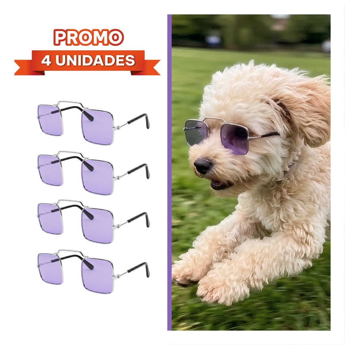 PACK4 ANTEOJOS DECORATIVOS CUADRADOS PARA MASCOTA MORADO CON ESTILO YREGALO STICKER - 1
