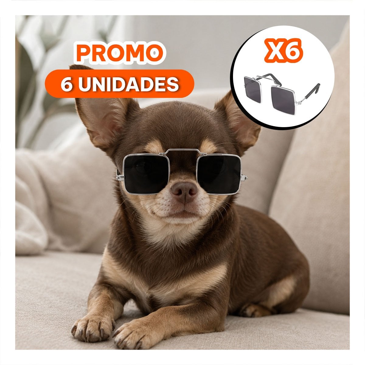 PACK6 ANTEOJOS CUADRADOS NEGRO PARA MASCOTA CON ESTILO PARA DISFRACES YREGALO STICKER - 1