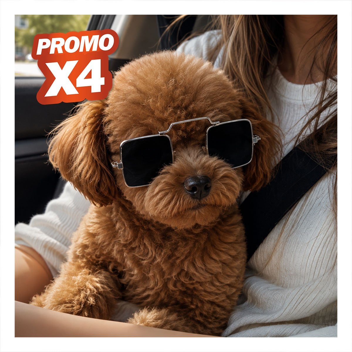 PACK4 GAFAS PARA MASCOTA CUADRADAS CON ACABADO NEGRO PARA EVENTOS ESPECIALES YPAPEL REGALO - 1