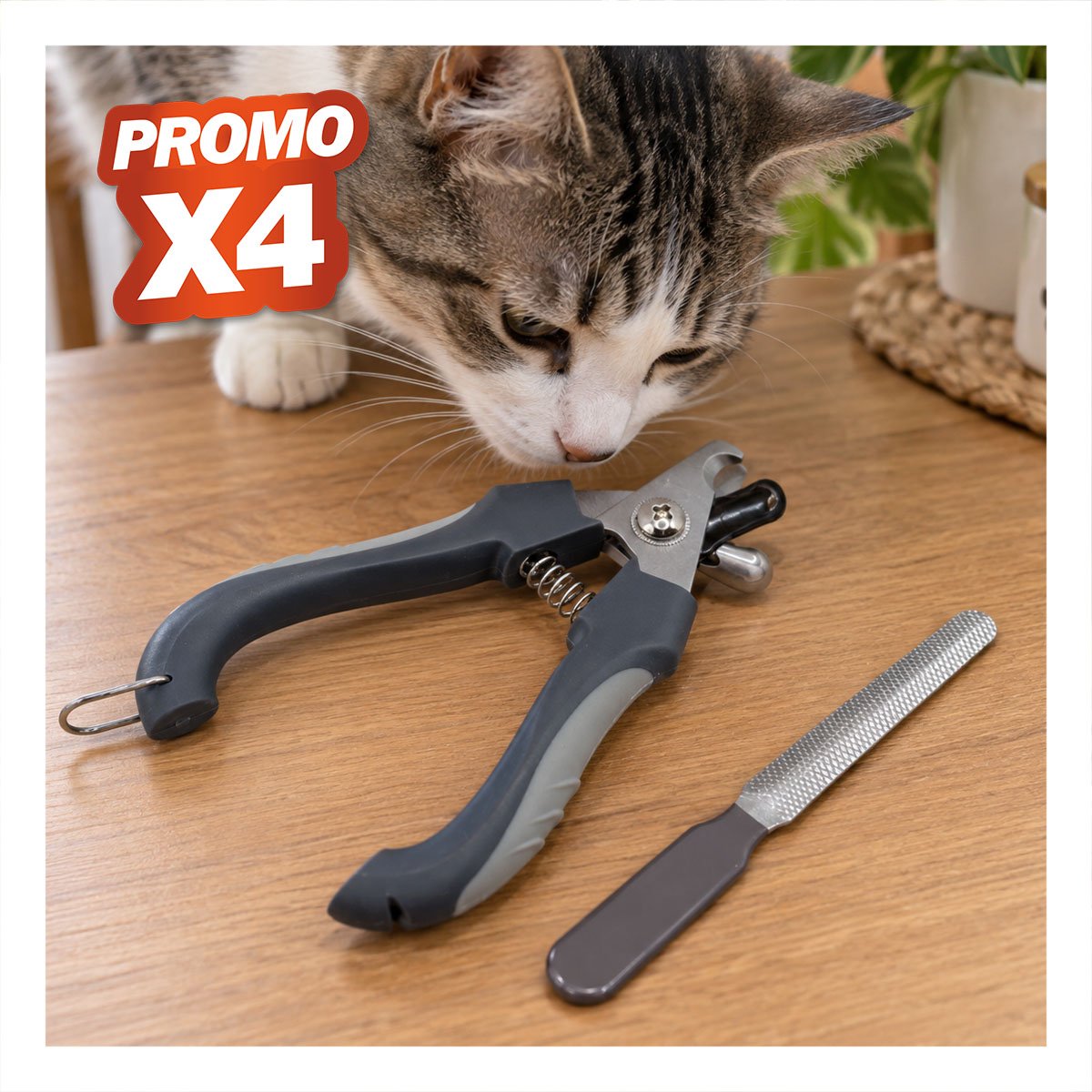PACK4 ALICATE GRANDE PLOMO PARA CORTE DE UÑAS EN MASCOTAS CON USO SEGURO YPAPEL REGALO - 1