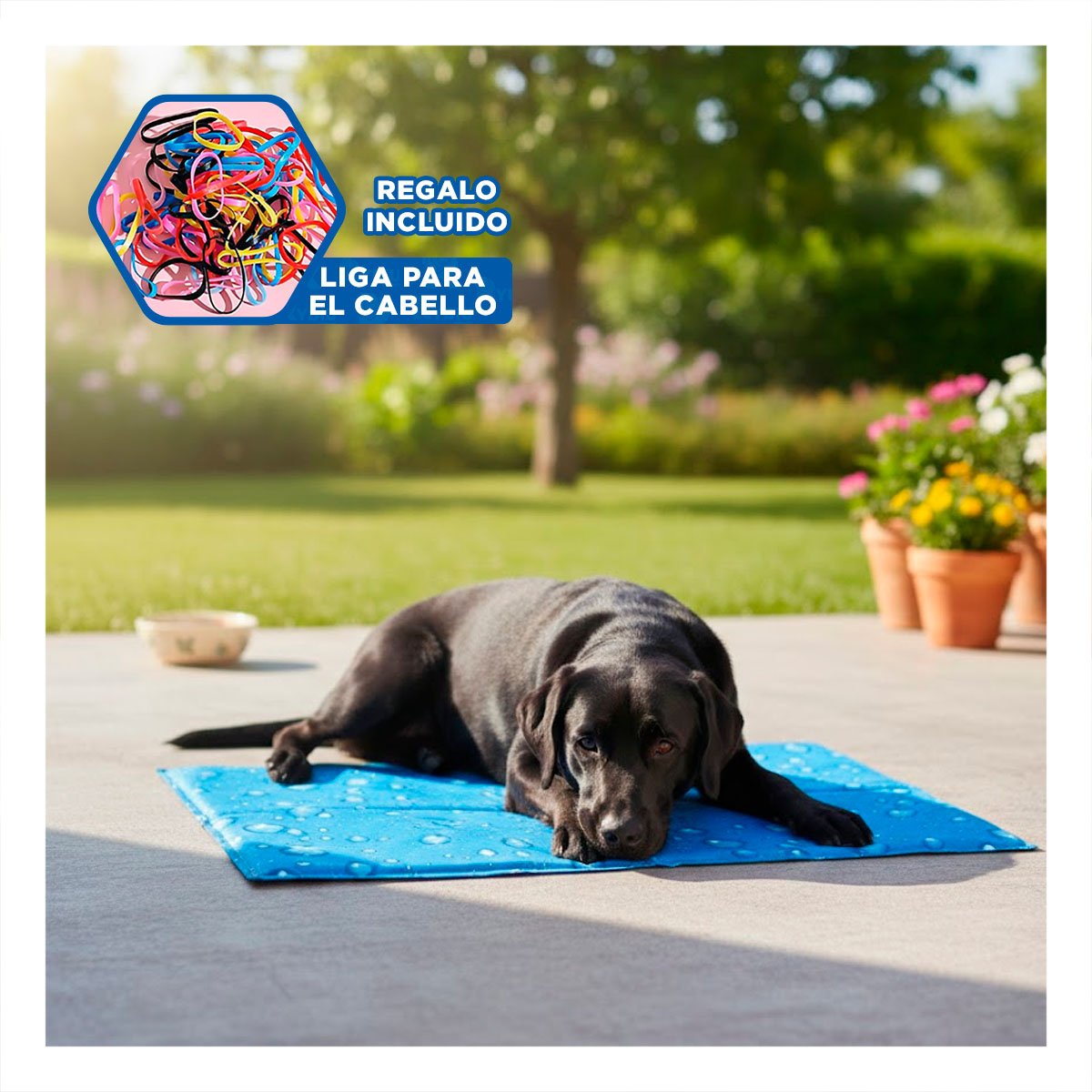 TAPETE PORTATIL PARA ZONA DE REPOSO ANIMAL 50X65CM MD CELESTE YLIGAS REGALO - 2