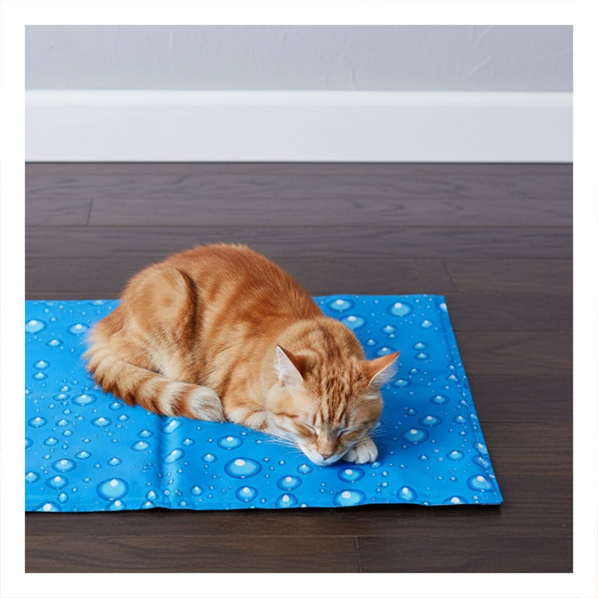 PACK2 BASE REFRESCANTE PARA MASCOTA S 30X40CM CELESTE BURBUJAS HOGAR - 5