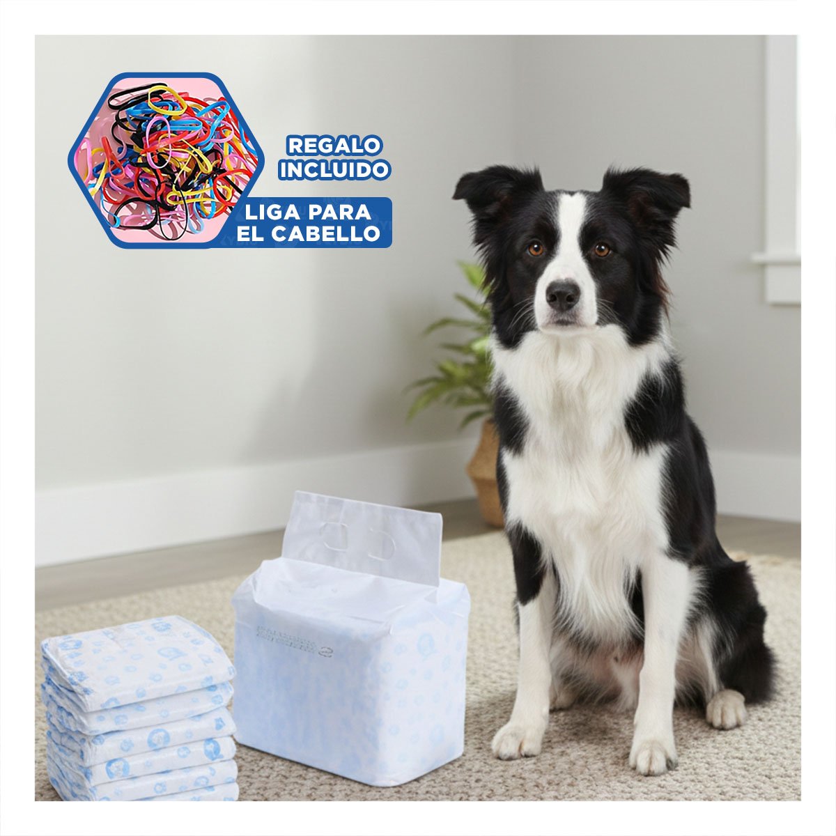 PROTECTOR PRACTICO CON CIERRE SEGURO Y FLEXIBLE PERRO MACHO TALLA L VERDE YLIGAS REGALO - 2