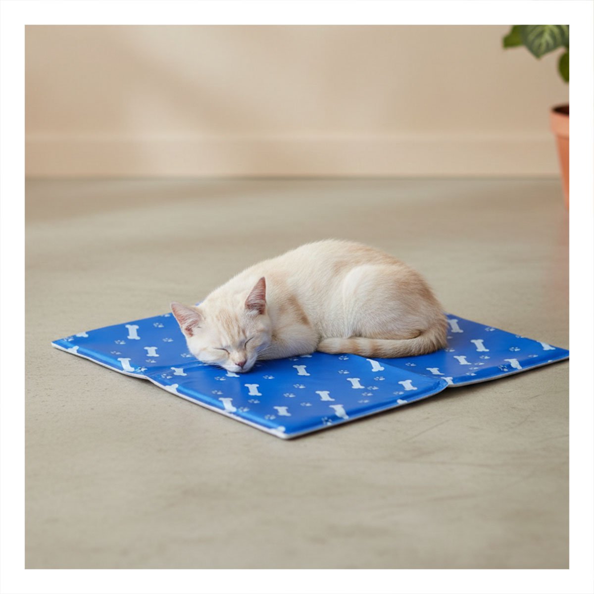 PACK2 DESCANSO GEL ENFRIAMIENTO USO DIARIO ESTILO HUESITOS AZUL S YREGALO STICKER - 3