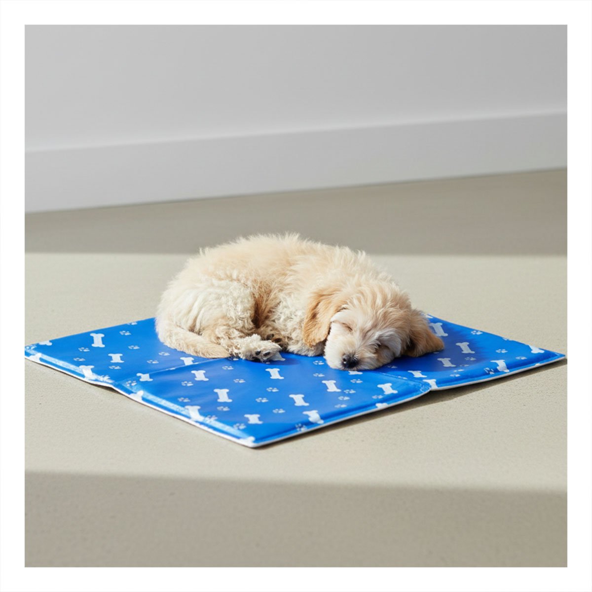 ALFOMBRA FRIA ACOLCHADA CON RELIEVE HUESITOS ESTILO HUESITOS AZUL S YPAPEL REGALO - 1