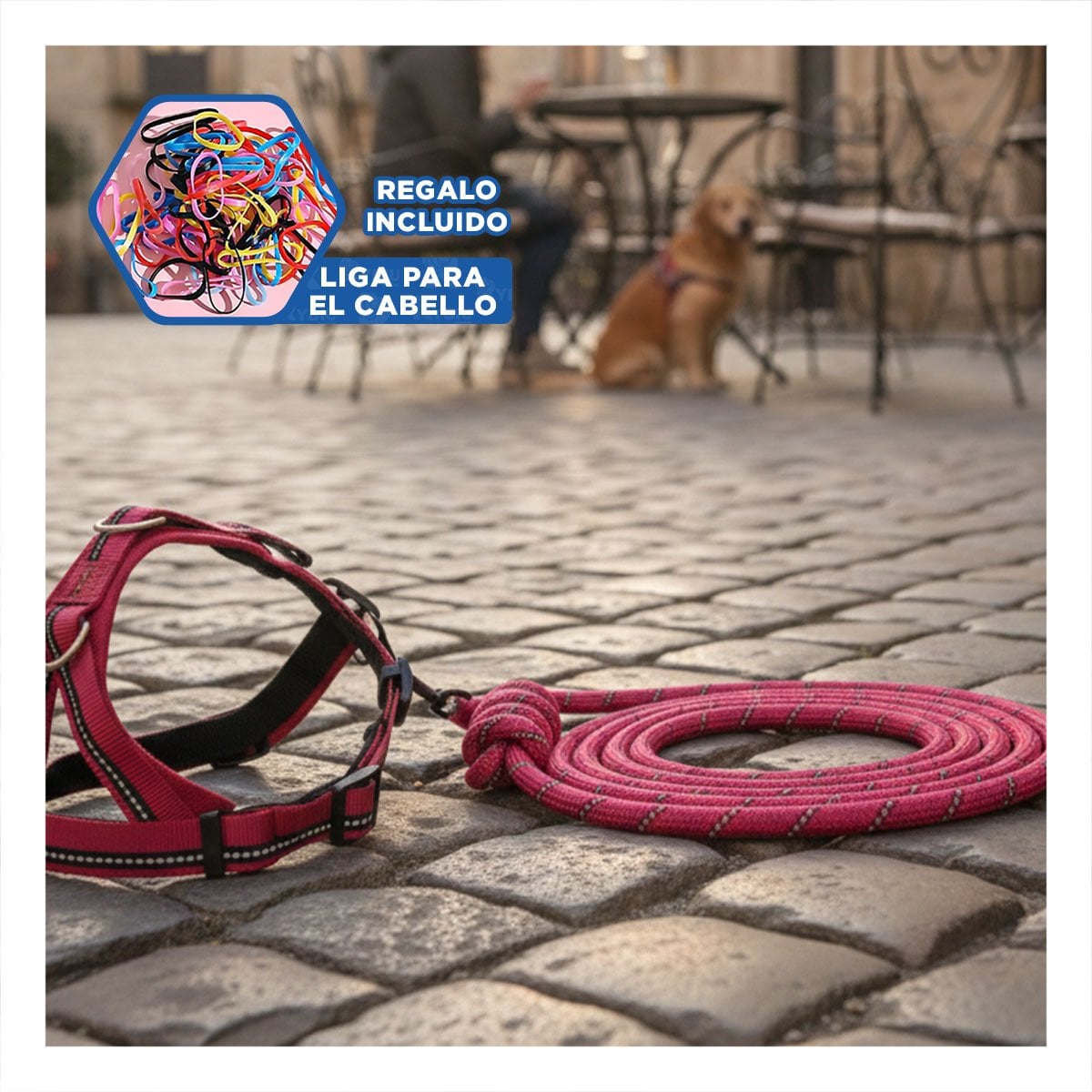 ARNES CON SUJECION FIRME PARA USO EXTERIOR 120CM ROJO YLIGAS REGALO - 2
