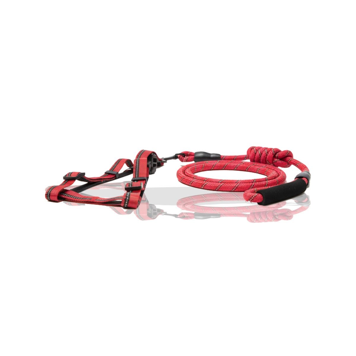 ARNES CON SUJECION FIRME PARA USO EXTERIOR 120CM ROJO YLIGAS REGALO - 5