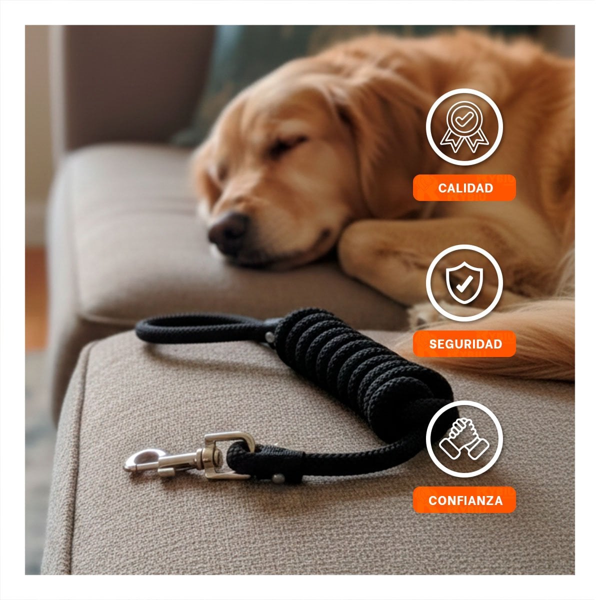 CUERDA PARA MASCOTA RESISTENTE COLOR NEGRO PARA PASEO DIARIO SEGURO - 1