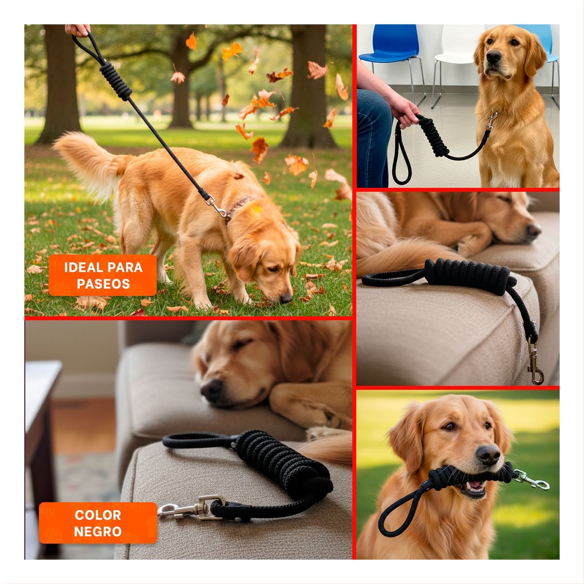 CUERDA PARA MASCOTA RESISTENTE COLOR NEGRO PARA PASEO DIARIO SEGURO - 2