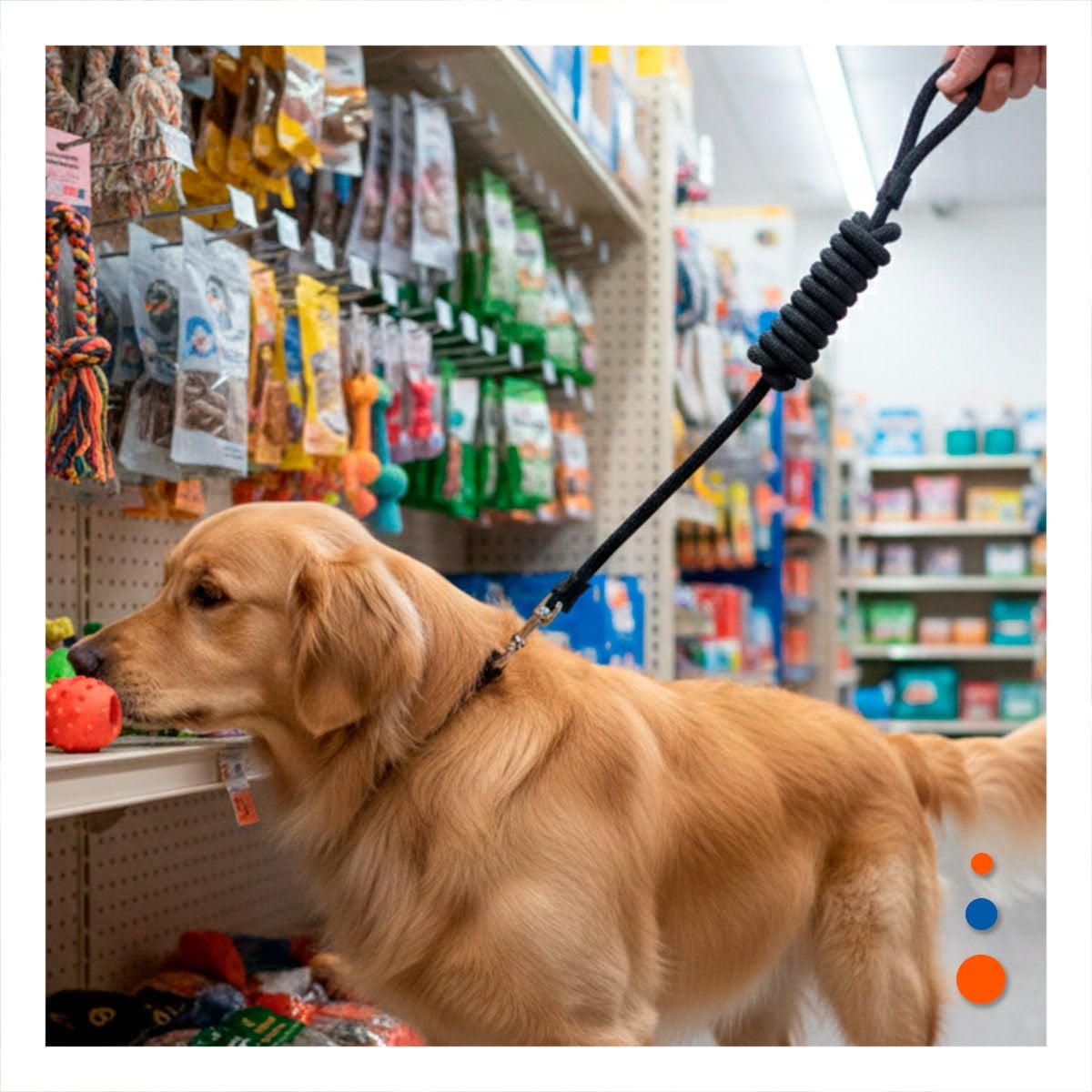 CUERDA PARA MASCOTA RESISTENTE COLOR NEGRO PARA PASEO DIARIO SEGURO - 5