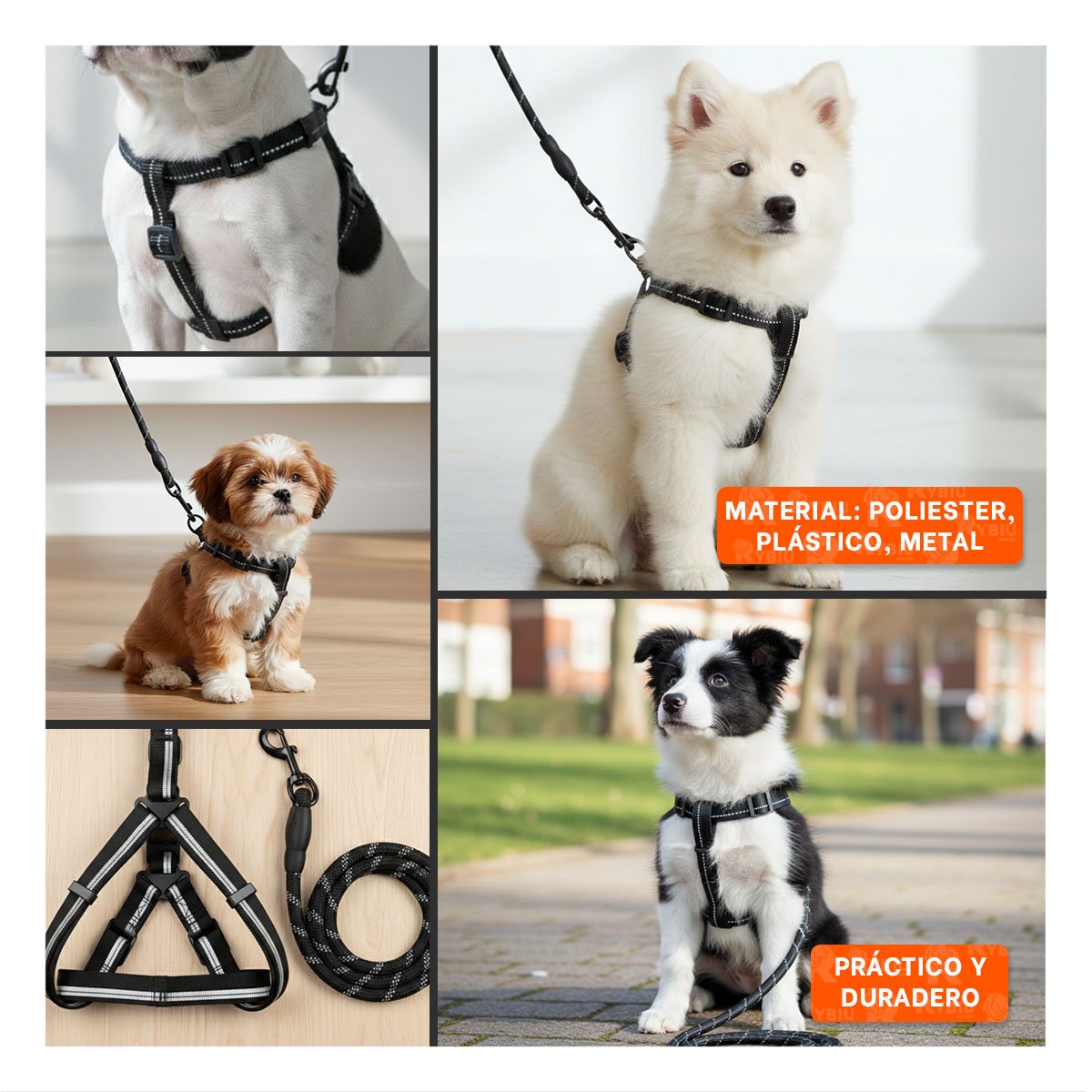 ARNES CON SOGA PARA CAMINATAS SEGURAS MASCOTA NEGRA 120CM NEGRO YPAPEL REGALO - 3