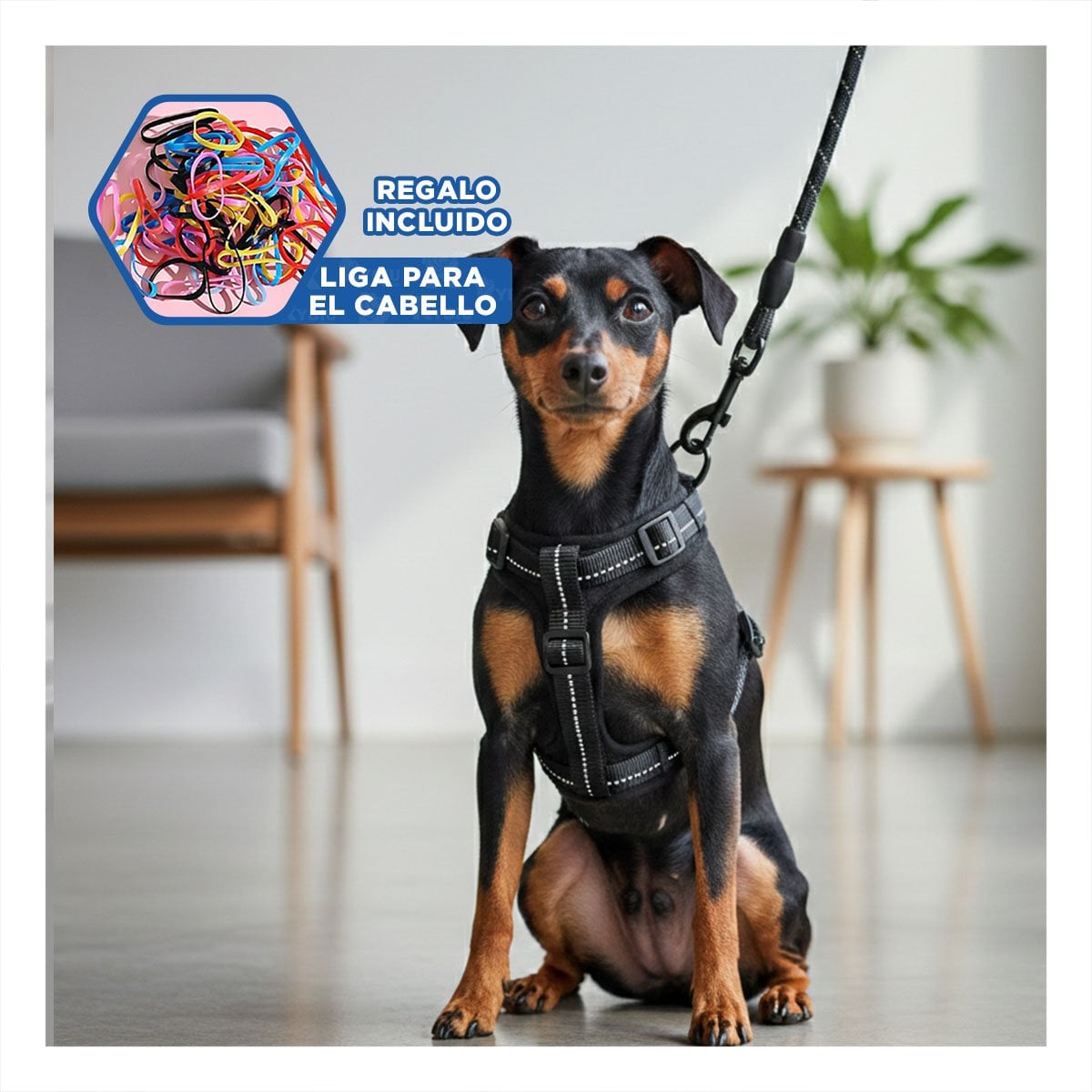 ARNES LIGERO PARA PASEO DIARIO COLOR NEGRO 120CM NEGRO YLIGAS REGALO - 2