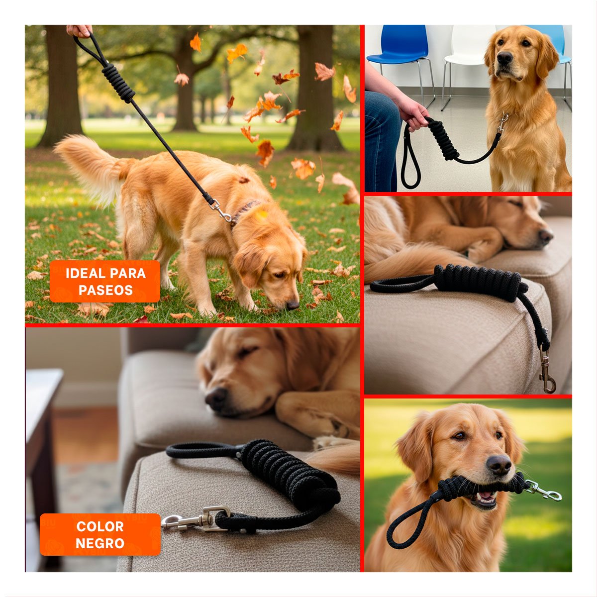 PACK2 CINTA DE PASEO PARA MASCOTA EN COLOR NEGRO COMODA Y RESISTENTE YPAPEL REGALO - 3