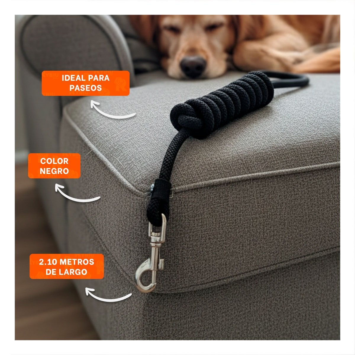 PACK4 IMPLEMENTO DE PASEO PARA PERRO EN COLOR NEGRO FIRME Y PRACTICO YPAPEL REGALO - 2