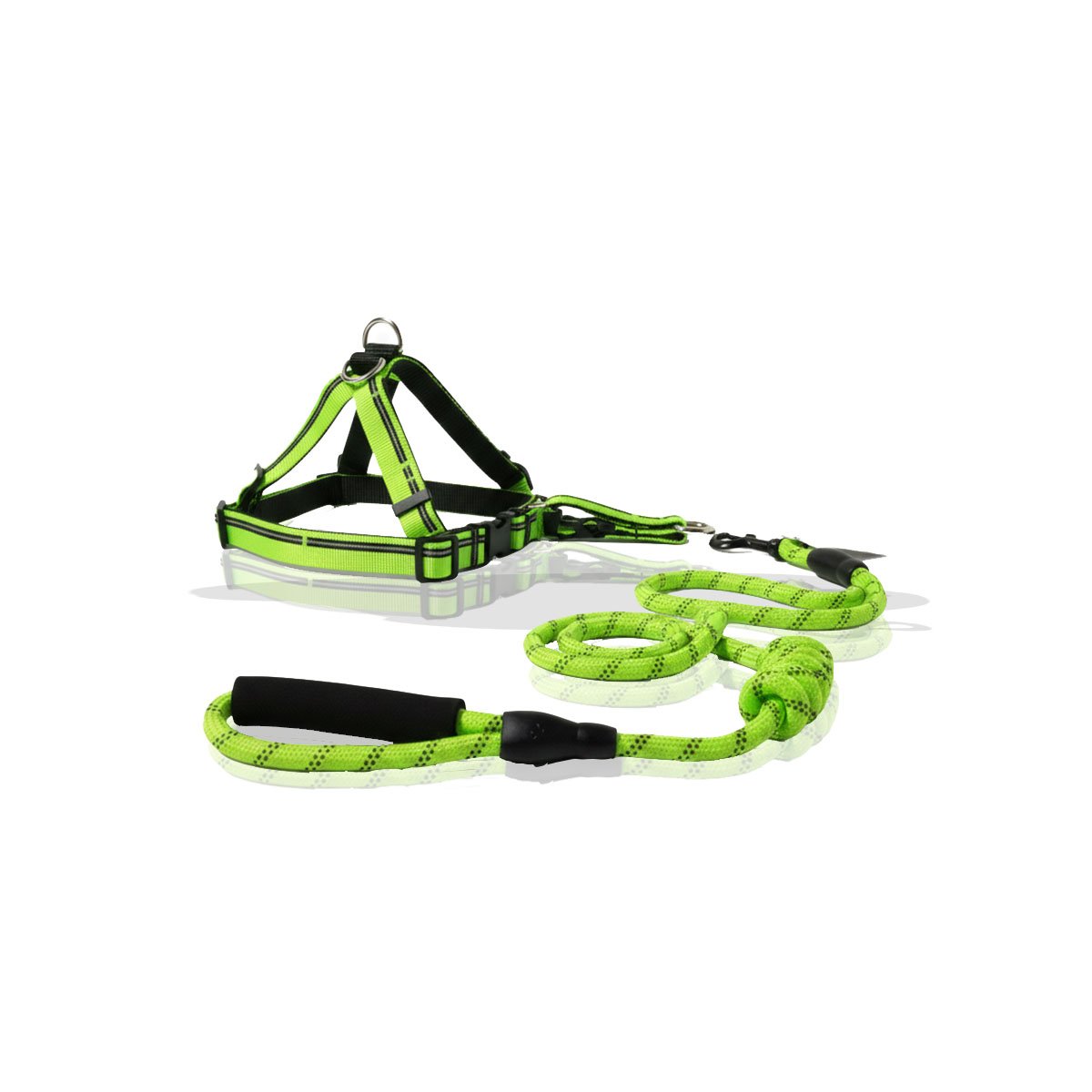 ARNES CON SUJECION ESTABLE Y SOGA 120 CM VERDE YLIGAS REGALO - 5