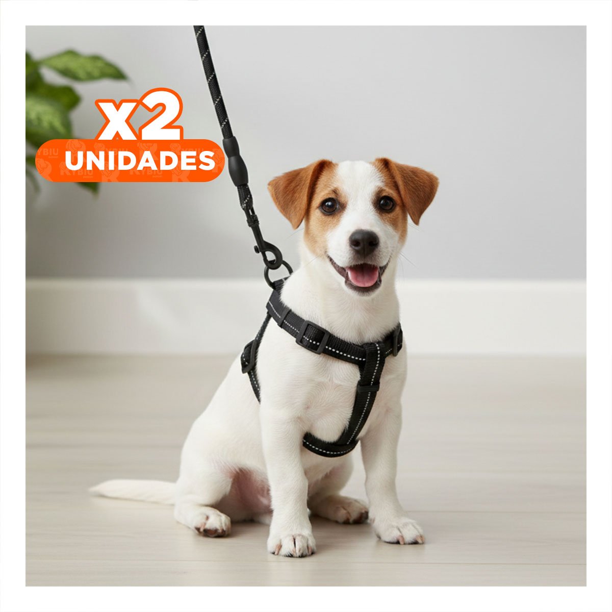 PACK2 IMPLEMENTO DE PASEO CON ARNES Y CORREA NEGRA 120CM NEGRO - 1
