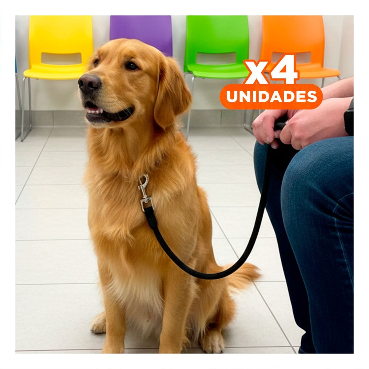 PACK4 ARTICULO PARA PERRO EN COLOR NEGRO PARA SALIDAS DIARIAS YREGALO STICKER - 1