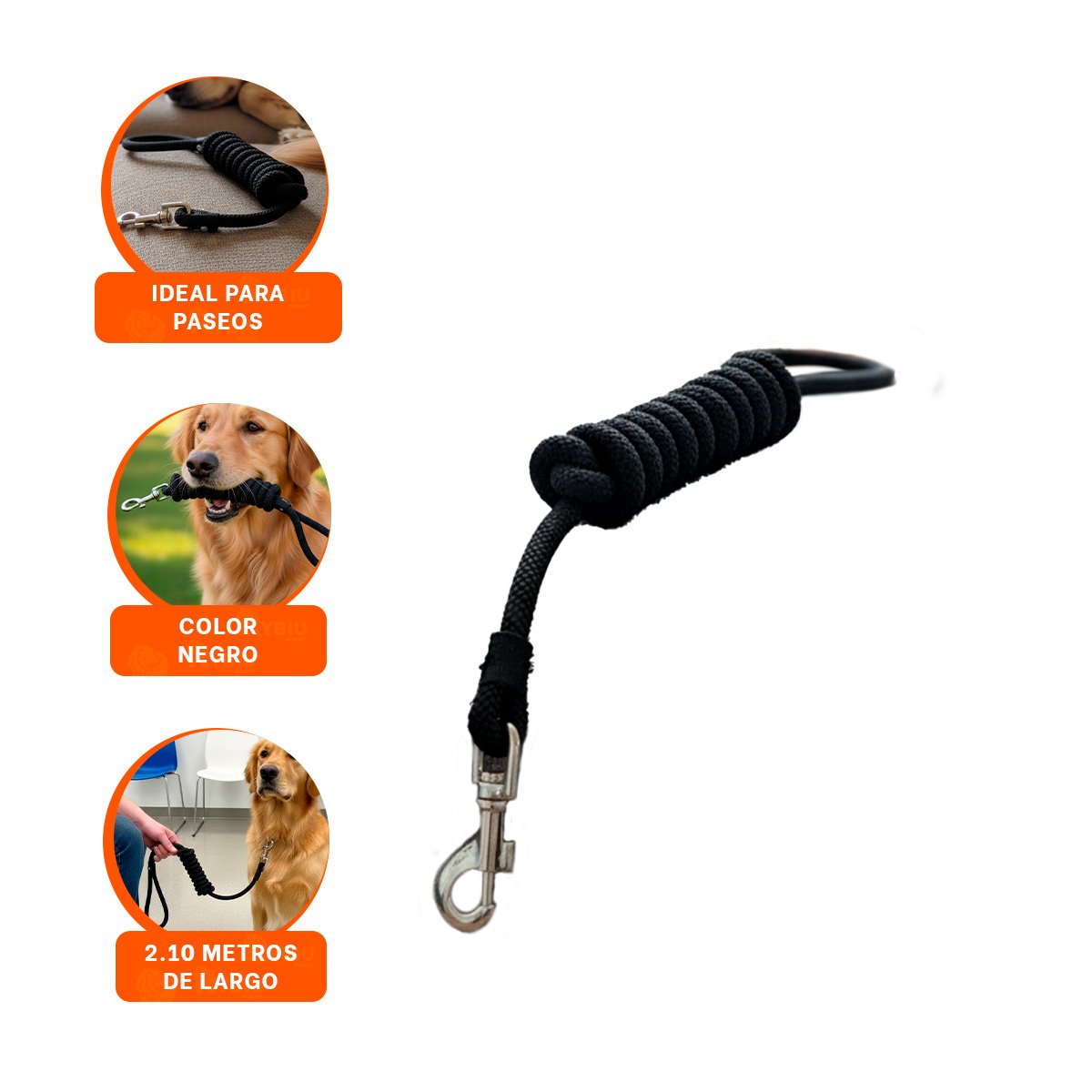 CORREA PARA PERRO FIRME Y SEGURA COLOR NEGRO PARA CAMINATAS DIARIAS YPAPEL REGALO - 5