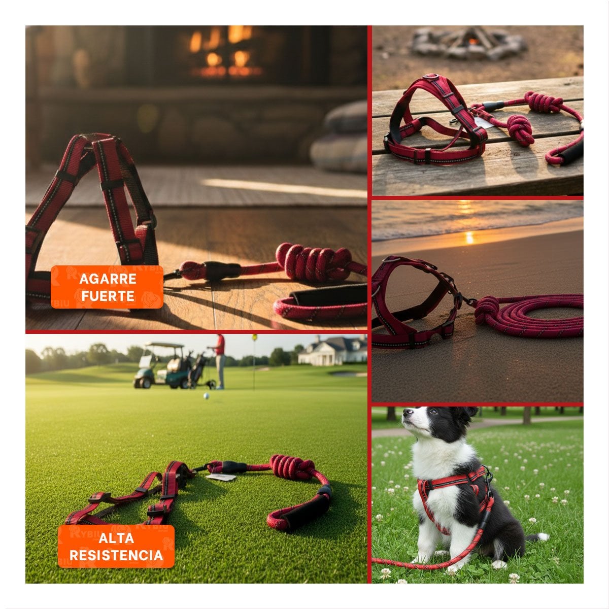 ARNES AJUSTABLE CON SOGA PARA PASEOS DIARIOS 120CM ROJO - 2