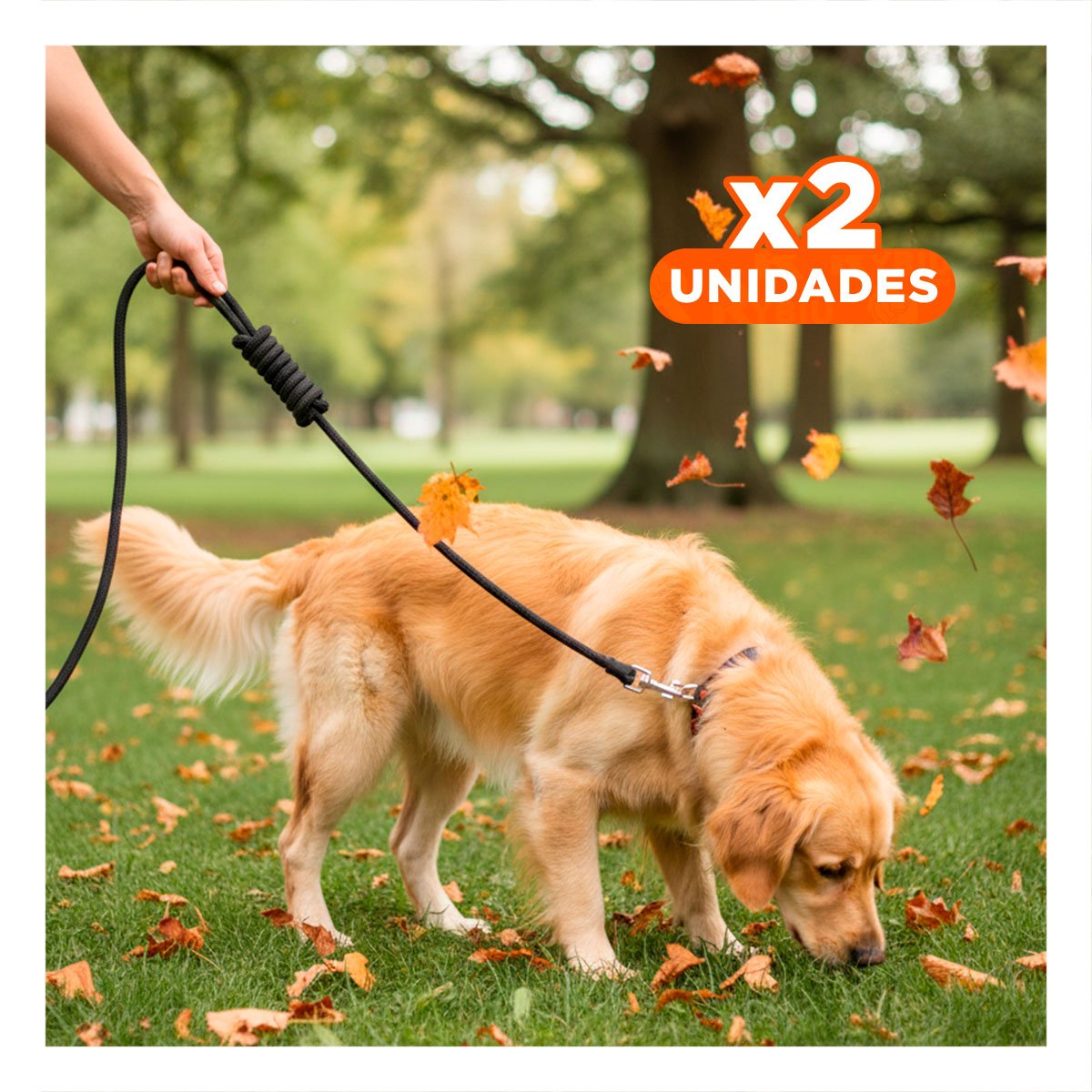 PACK2 CORREA DE CONTROL PARA PERRO EN COLOR NEGRO FIRME Y DURADERA - 1