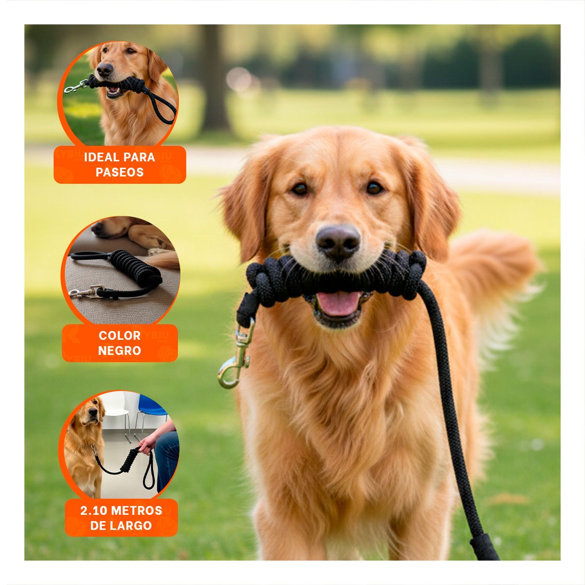 PACK2 CORREA DE CONTROL PARA PERRO EN COLOR NEGRO FIRME Y DURADERA - 5