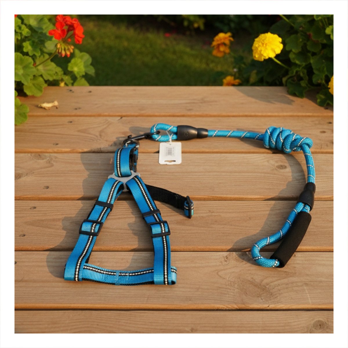 PACK2 IMPLEMENTO DE PASEO CON ARNES Y CORREA PARA MASCOTAS 120CM CELESTE - 3