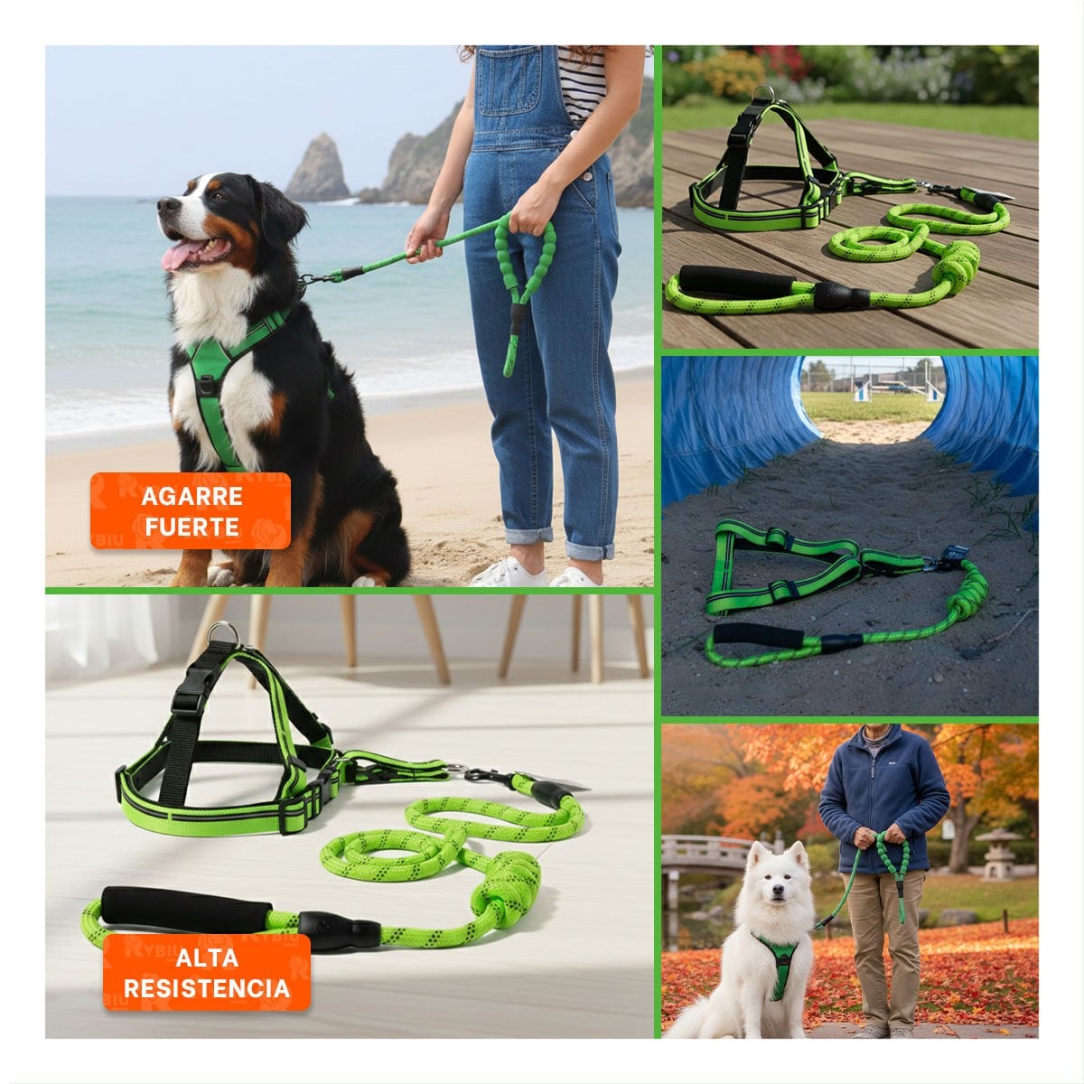 ARNES DE PASEO CON SOGA LARGA COLOR 120 CM VERDE - 2