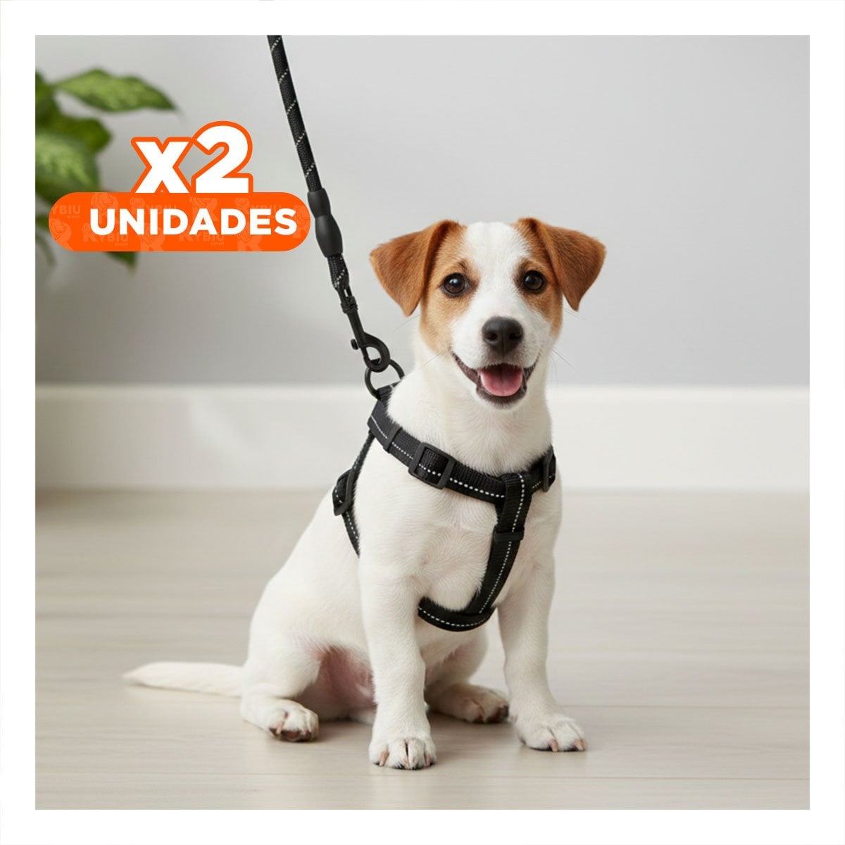 PACK2 IMPLEMENTO COMPLETO PARA CAMINATAS MASCOTA NEGRO 120CM NEGRO YPAPEL REGALO - 1