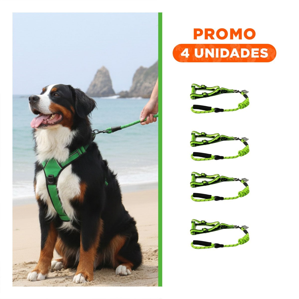 PACK4 SOPORTE DIARIO PARA PASEO SEGURO MASCOTA 120 CM VERDE - 1
